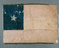 TexasFlag_9